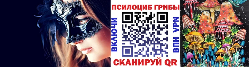 как найти закладки  Серпухов  Галлюциногенные грибы мицелий 